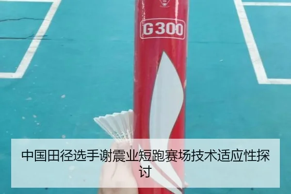 中国田径选手谢震业短跑赛场技术适应性探讨